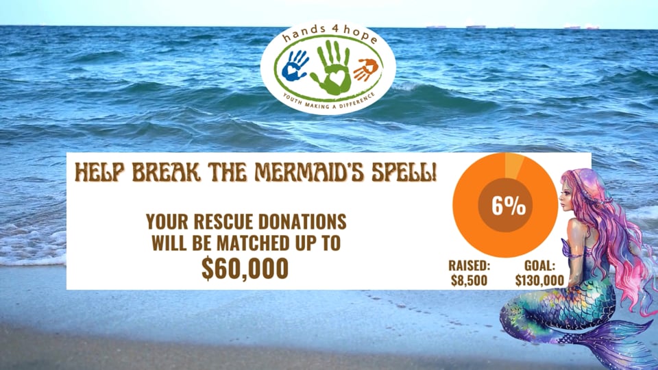 Rescue our friends from the mermaid's spell!