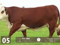 Lote 05