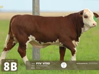 Lote 08B