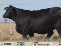 Lote 16A e 16B