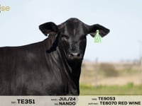 Lote 20