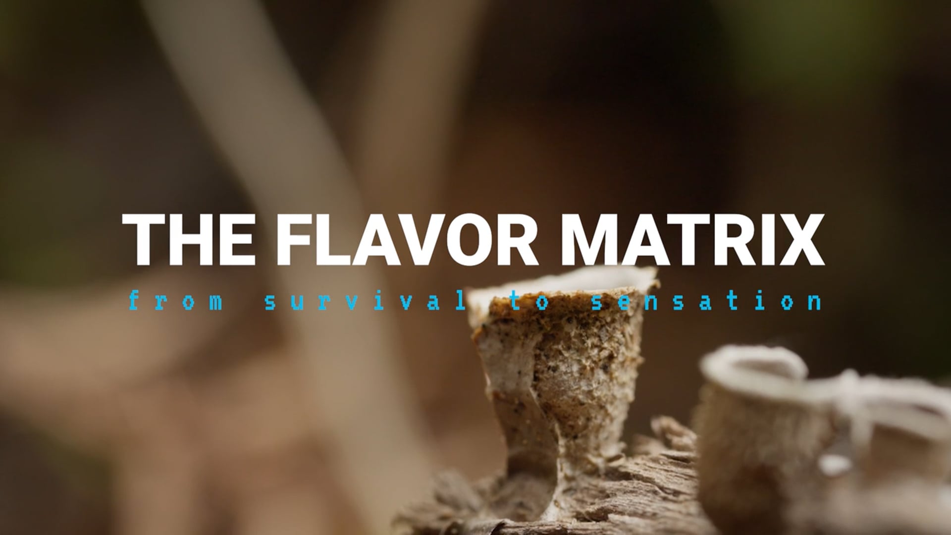The Flavor Matrix — Teaser — August 2025