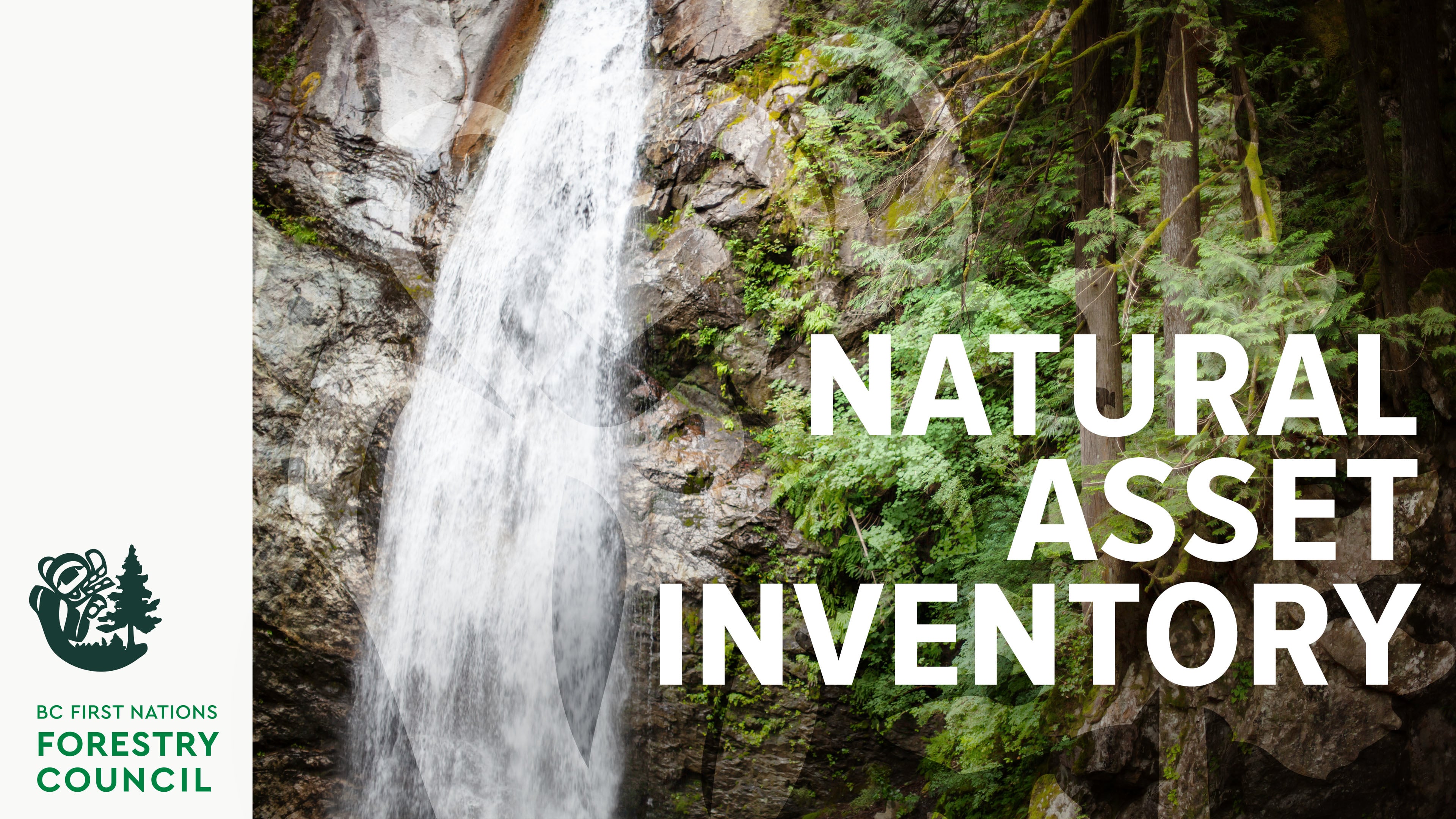 What is a Natural Asset Inventory? | Leq’á:mel First Nation