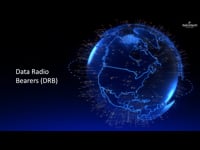 7.17. Data Radio Bearers (DRB)