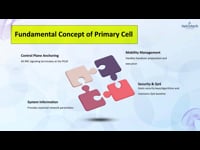 9.3. Roles of Primary Cell