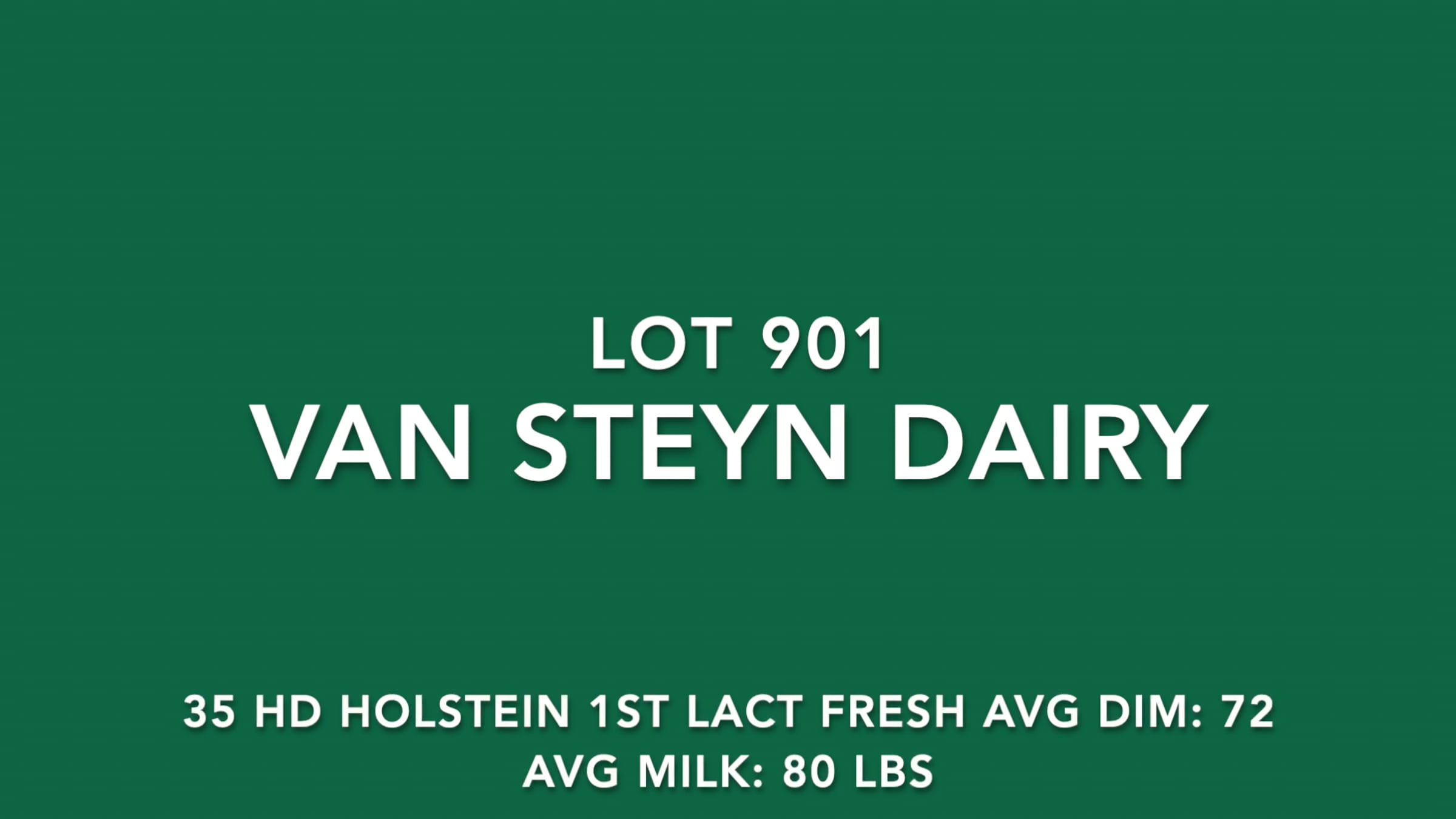 LOT 901 VAN STEYN DAIRY