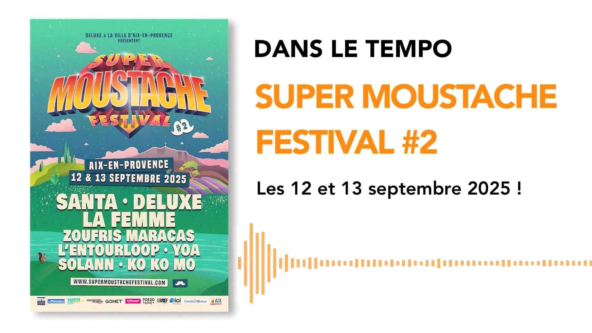 FESTIVAL SUPER MOUSTACHE #2