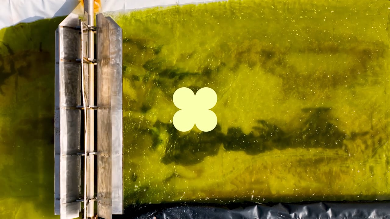 Video thumbnail: BrilliantPlanet_CaseStudy_HeaderVideo_16x9