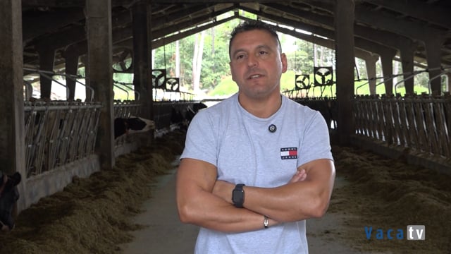 Tráfico libre: clave para el bienestar animal