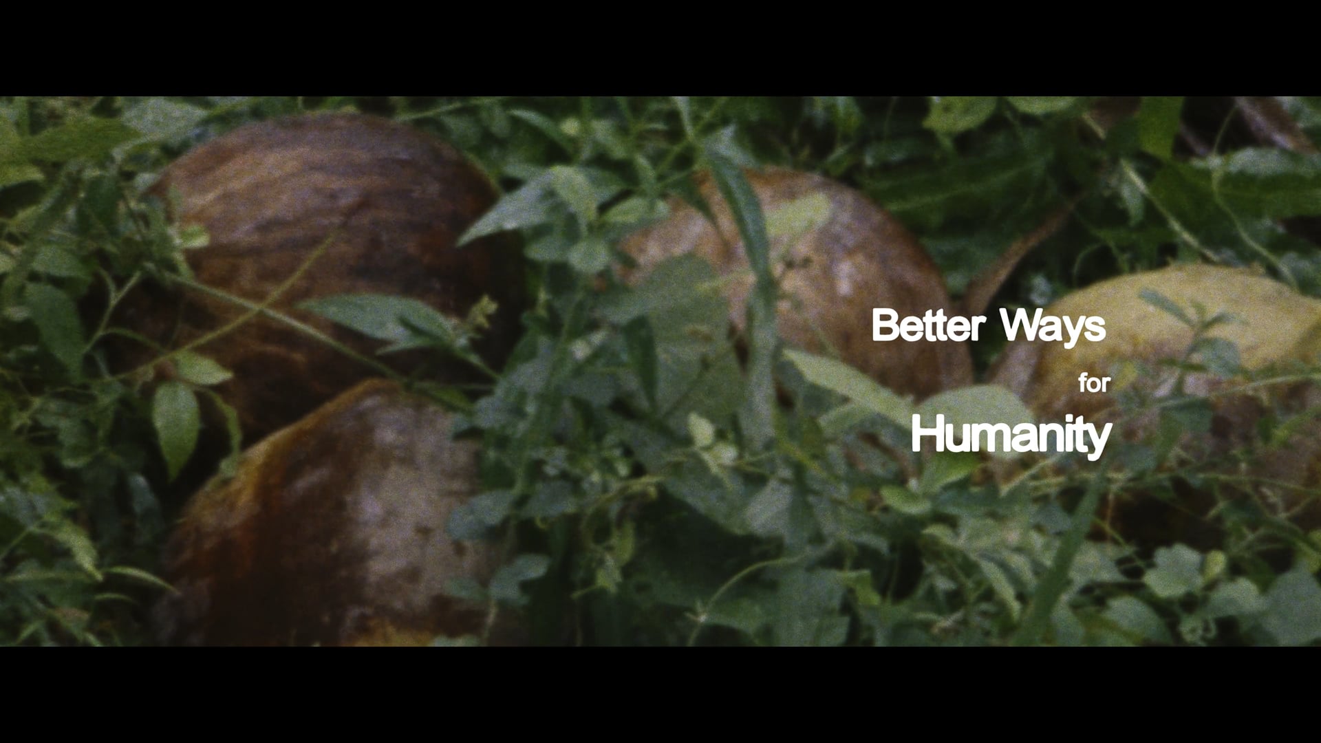 Better Ways For Humanity - 