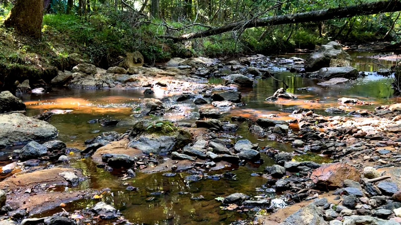 711 Oak Knoll Cir Auburn AL