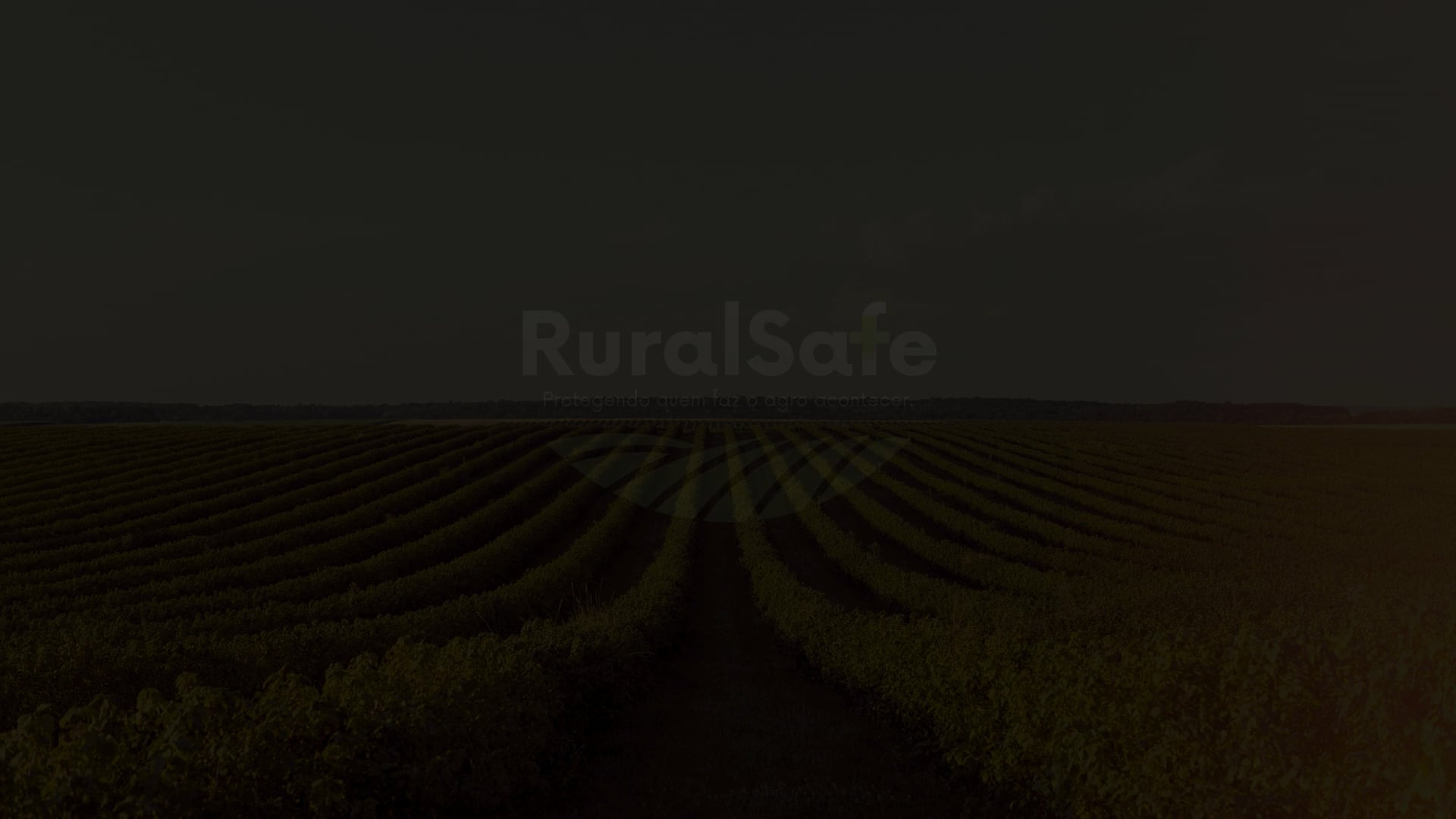 https://i.vimeocdn.com/video/2053153024-5a433541faa818833607acb1d97c5480fc89d2e67b3314872ff1fa689e898437-d