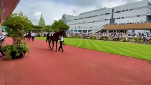 動画サムネイル