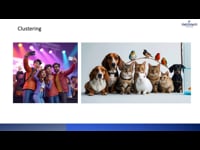 6.2. Self-Organizing Networks The Power of Clustering
