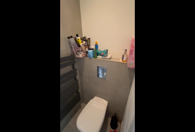 Spacious en-suite bedroom in New Cross (Sub-Let) Main Photo
