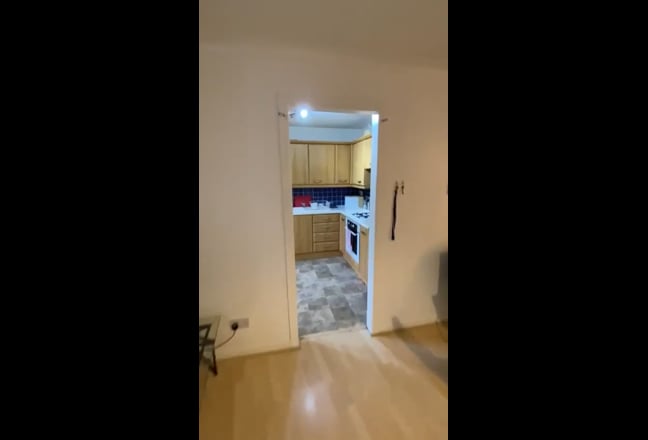 Video 1: