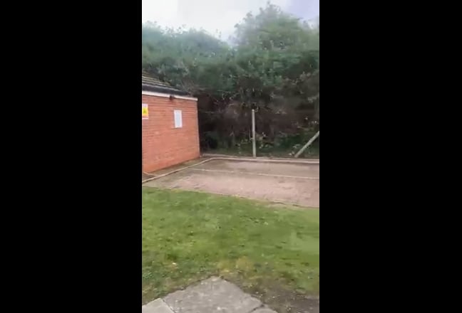 Video 1: