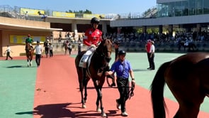 動画サムネイル