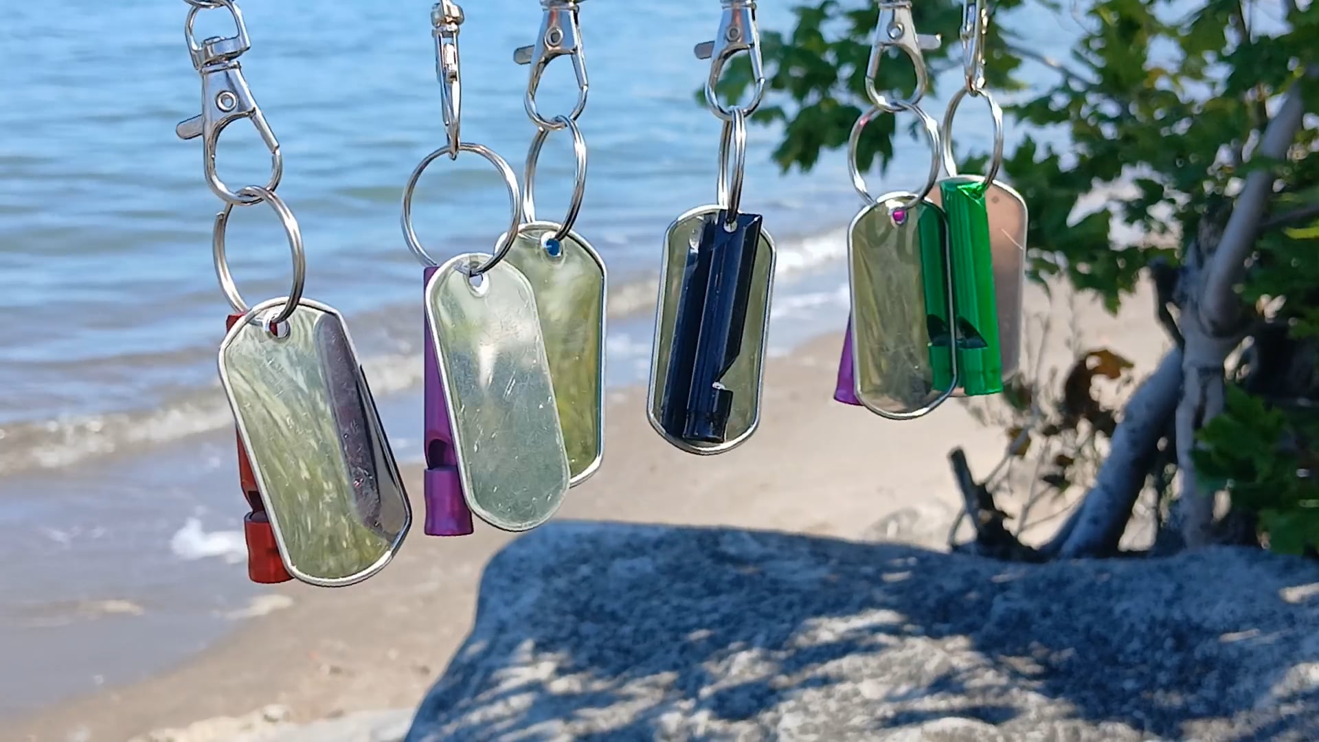 https://i.vimeocdn.com/video/2053376756-c6c595b0e3e96e7853ab8135e9cc44e29994e8761127a6689c92e15aff952875-d