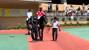 動画サムネイル