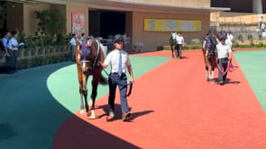 動画サムネイル