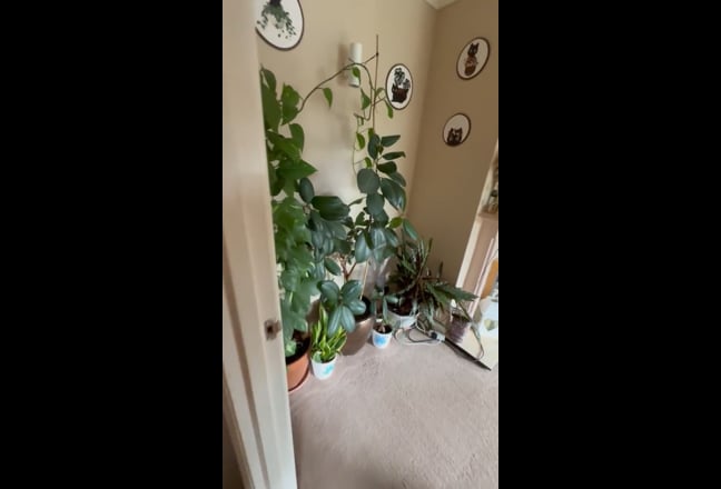 Video 1: