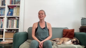 Related Embedded Video Item Thumbnail