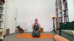 Related Embedded Video Item Thumbnail