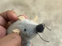 Trixie Assorted Plush Mice - Cat Toys In Various Colours - Foto 14