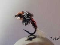 Emergente de Chironomido