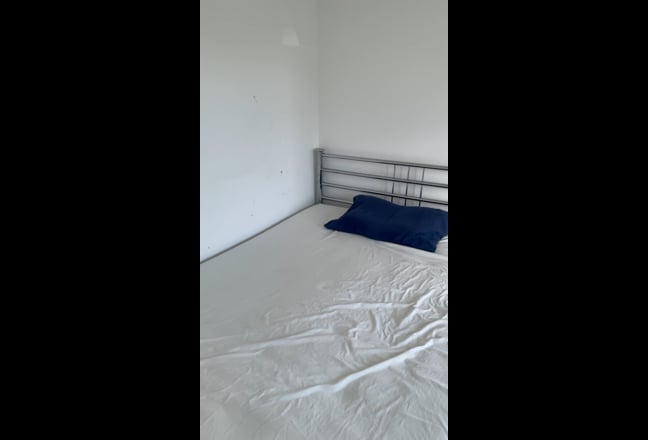 Spacious Double room own bathroom ( Female ) Main Photo