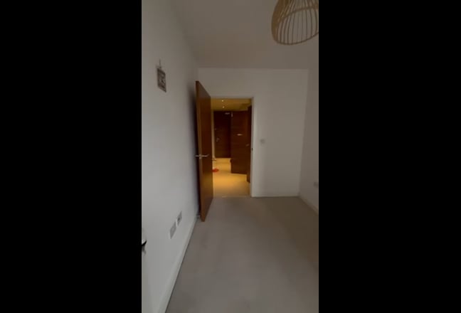 Video 1:
