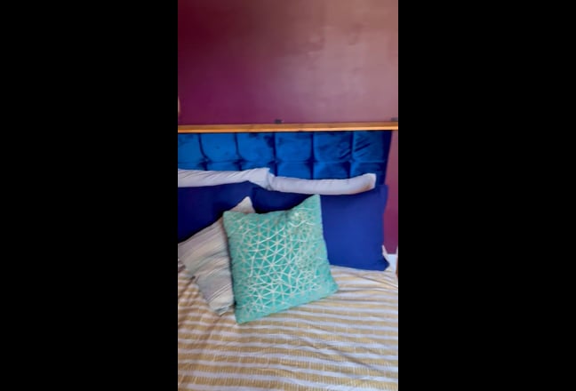 Video 1: