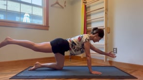 Exercise Breakdown: Bird/Dog