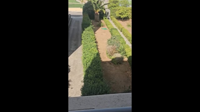 Πεύκη Αττικής: Άφησε δύο σκυλιά να σκοτώσουν δύο γάτες 31-8-2025