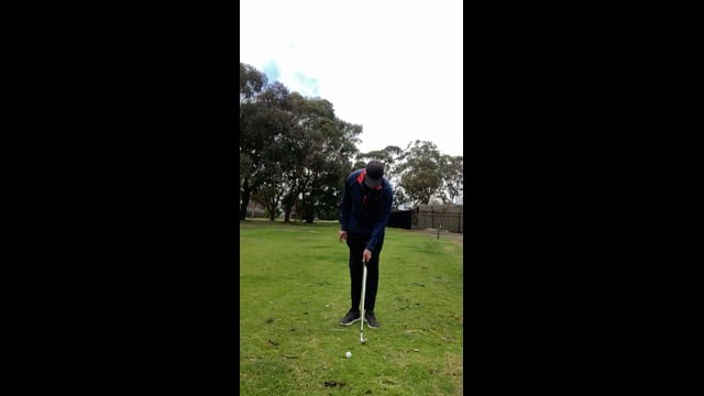 Play swing video