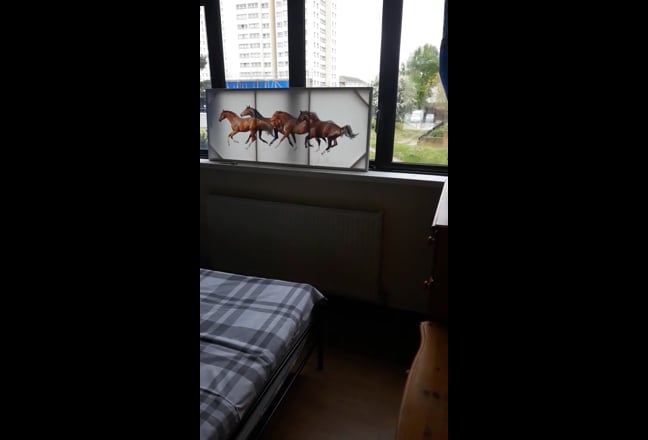 Video 1: 
