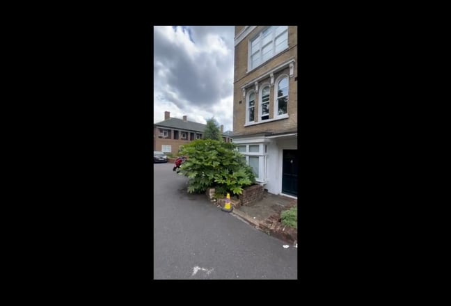 Spacious flat in Brixton/Tulse Hill SW2 3BX Main Photo