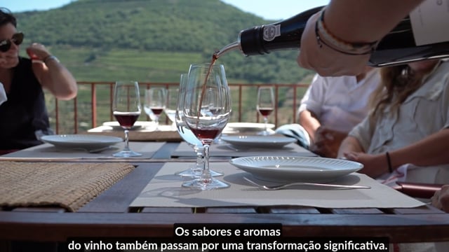 School of Port, The Masters &ndash; Episode 3