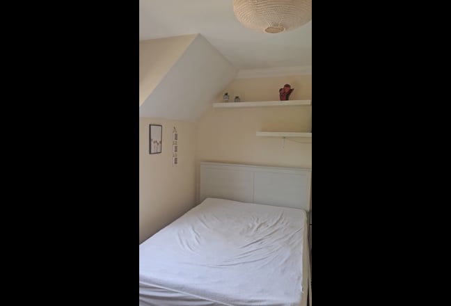 Video 1:
