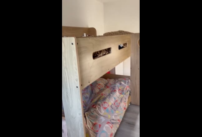 Video 1: