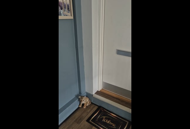 Friendly, relaxed environment  Main Photo