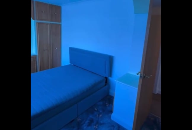Video 1: