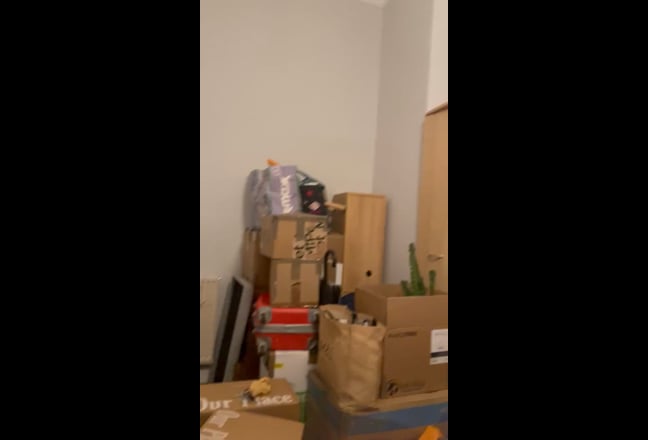 Friendly flat looking for new addition  Main Photo