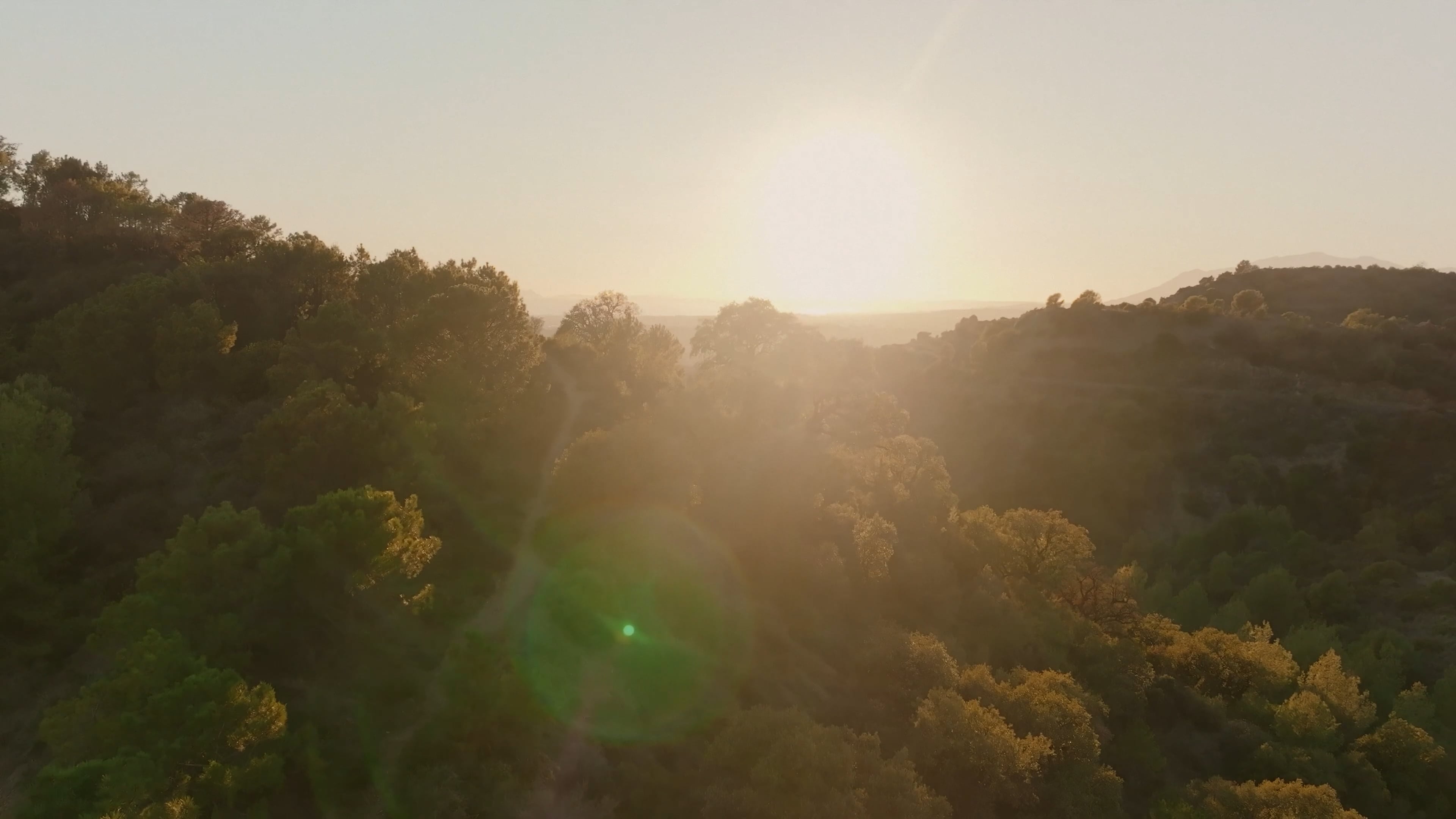 Mark Castle | Director, project: SILA BY NOVAK DJOKOVIC ((Thumbnail landscape))