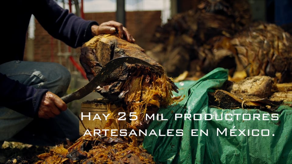 Para todo mal, mezcal; para todo bien, también. 