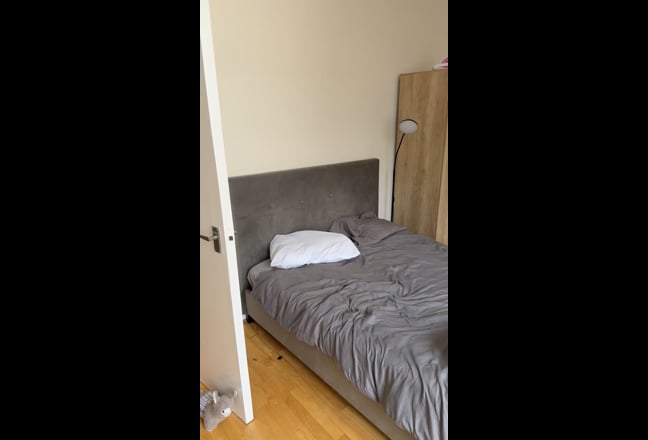 Video 1: Room window view
