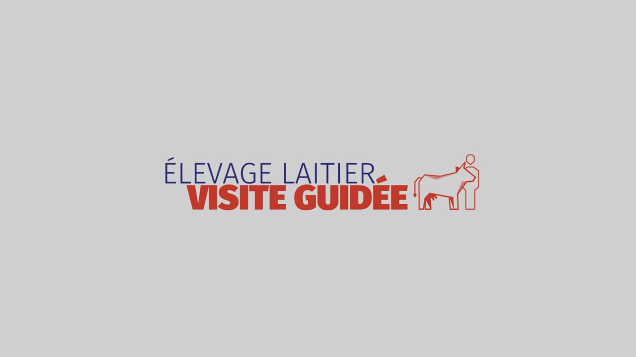 Vidéo teaser "Elevage laitier, visite guidée"