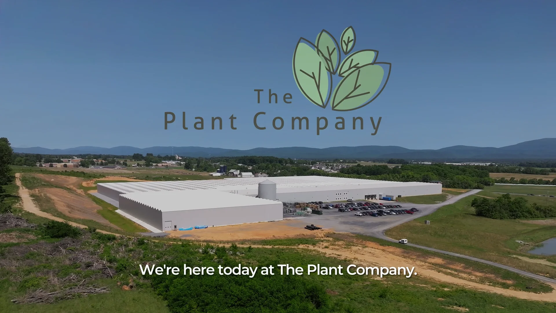 The Plant Company