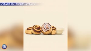 Cinna-minis Are BACK!!